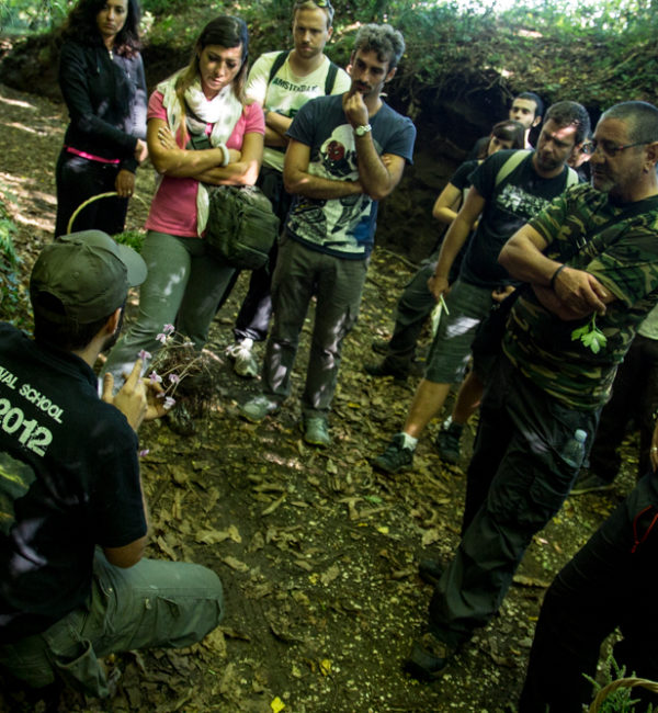 corso di erbe spontanne sos 2012 survival school (5)